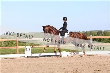 181449_bc_01R62_6382.JPG