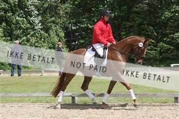 135518_ms_01_IMG_1797.JPG
