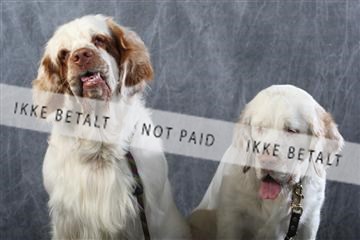 129608_le_ 01_0738.JPG