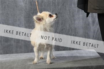 129608_le_ 01_0576.JPG