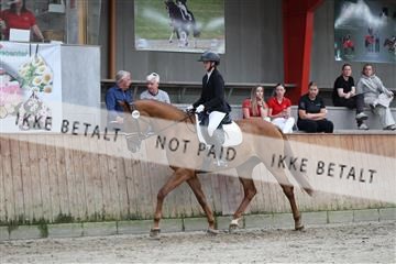 181867_mtp_01_R62_3814.JPG