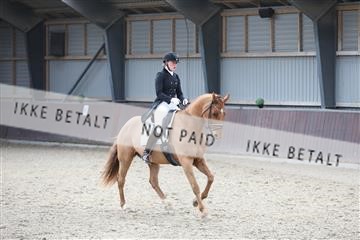 174313_mtp_01_3M5A6120.JPG