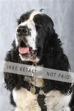 129608_le_ 02_0216.JPG