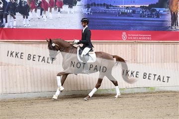 175166_kbb_01_R6II0089.JPG