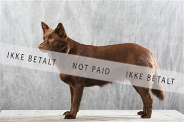 129608_le_ 01_0934.JPG