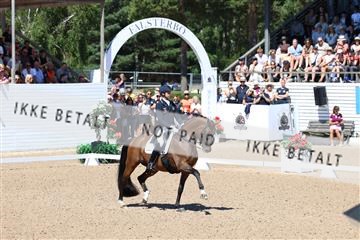 181726_mlm_01_R62_0183.JPG