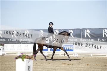 181449_kbb_01_6II9757.JPG