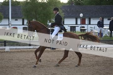 147698_nn_01_IMG_0868.JPG