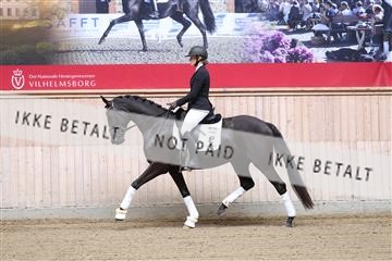 175166_kbb_01_R6II0052.JPG