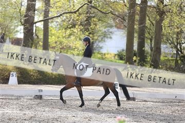174512_mtp_01_3M5A7074.JPG