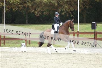 181923_mtp_04_R62_9010.JPG