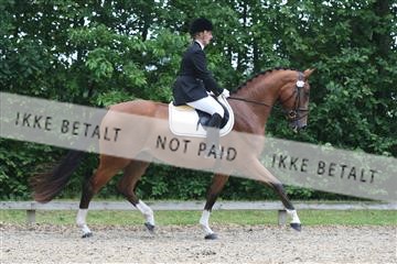 135518_ms_01_IMG_0871.JPG