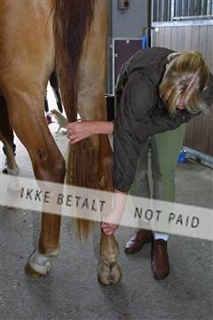 1257_04_100-0006_IMG.JPG