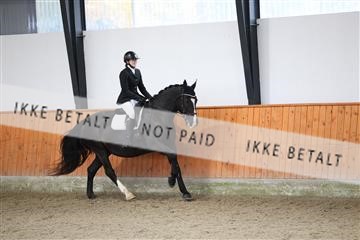 175681_avh_01_R62_0363.JPG