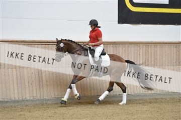 160111_nn_01__ESK1845.JPG