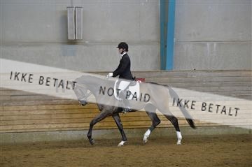 144288_abo_01__AB22110.JPG