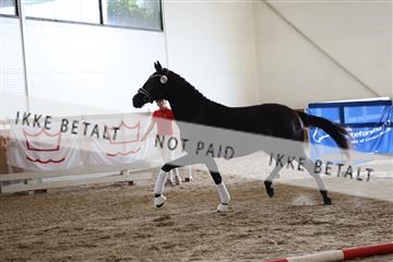 181756_mtp_01_R62_1492.JPG