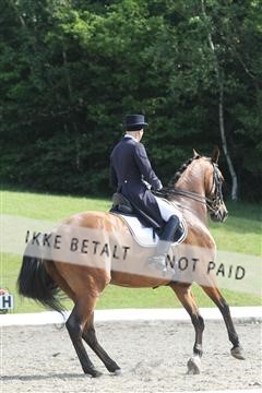 135676_sg_01_IMG_8009.JPG