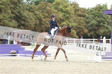 181923_mtp_04_R62_8351.JPG