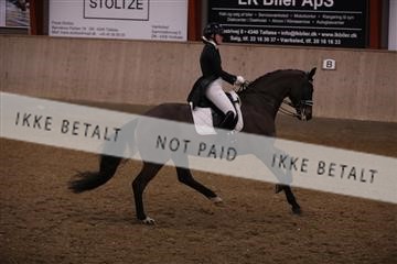 173782_mtp_01_3M5A8206.JPG