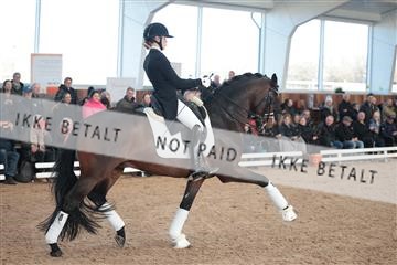 179022_kbb_01_R6II2451.JPG