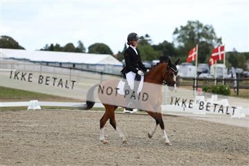 181894_mtp_03_R62_2881.JPG