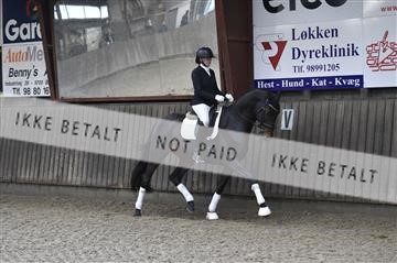 173181_kbb_01__D4S6204.JPG