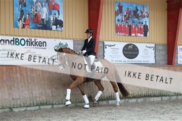 181867_mtp_01_R62_4145.JPG
