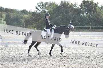 172717_kbb_01__D4S7017.JPG