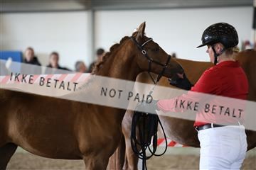 181756_mtp_03_R62_2660.JPG