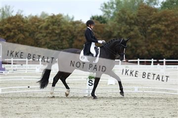 181923_mtp_01_R62_6858.JPG