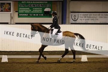 150596_nn_01_IMG_9520.JPG