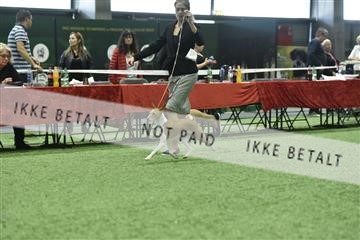 163793_bkn_01__BKN9192.JPG