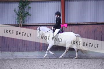 173883_mtp_01_3M5A0403.JPG