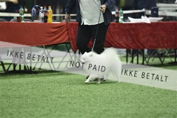 163793_bkn_01__BKN9161.JPG