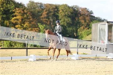 181894_mtp_04_R62_3029.JPG