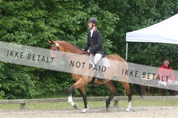 135518_ms_01_IMG_1458.JPG