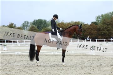 181923_mtp_01_R62_6798.JPG
