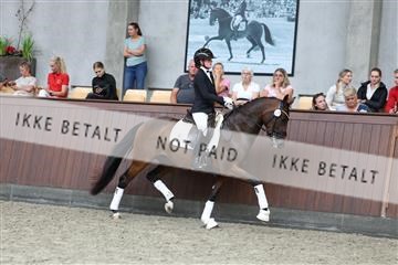 181852_mtp_05_R62_3162.JPG