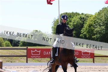 181449_bc_01R62_5519.JPG