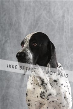 129608_le_ 02_0170.JPG