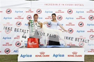 181848_kar_01__62_1215.JPG