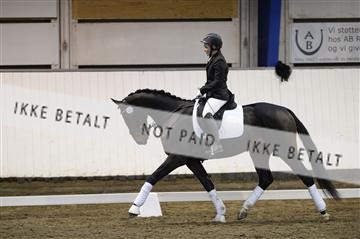 141472_abo_01__AB15716.JPG