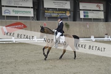 167169_kbb_1__KBB3895.JPG