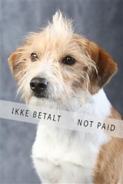 129608_le_ 01_0381.JPG