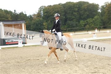 181894_mtp_03_R62_2534.JPG