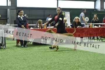 163793_bkn_01__BKN9208.JPG