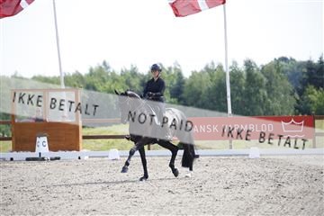 181449_kbb_02_6II1147.JPG