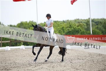 181449_kbb_02_6II0950.JPG