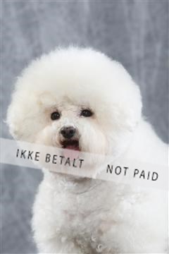 129608_le_ 01_0100.JPG